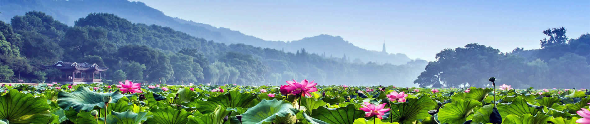 Three days Hangzhou tour enjoying the highlights in the city with excursion to Wuzhen Water Town.Both authentic local culture and fascinating landscape.