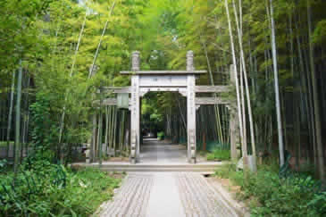 Bamboo Lined Path at Yunxi