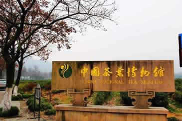 China National Tea Museum Hangzhou 
