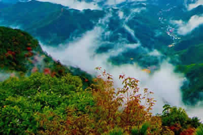 Tianmu Mountain