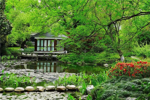 Hangzhou Flower Nursery