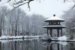 Warm Up Your Winter: 1-Day Hangzhou Itinerary with Tea and Hot Springs (Dec. - Feb.)