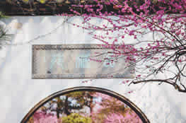 Hangzhou Classic Garden Viewing Day Tour