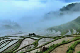 One Day Yunhe Rice Terrace & Village Discovery Tour from Hangzhou