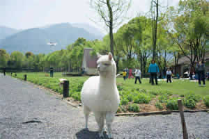 Tonglu Barbizon Vacation Resort Family Day Trip from Hangzhou