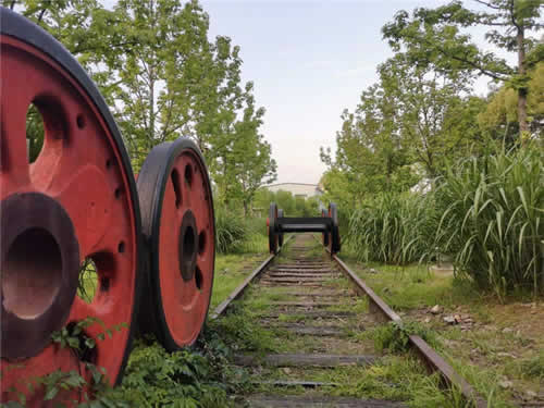 Hangzhou Qiantang River Cycling and Photography Day Trip