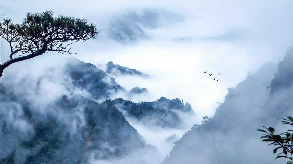 Incredible Shanghai to Huangshan Mountain Day Trip