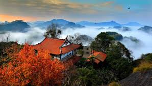 Wuyishan Wonders: A Day of Bamboo Rafting, Majestic Peaks, and Timeless Tea Culture