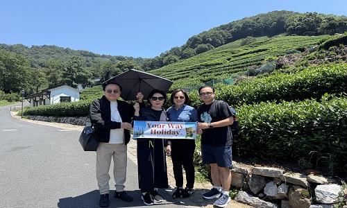 Private Hangzhou Day Tour: Remarkable Journey of Serenity and Beauty of Nature