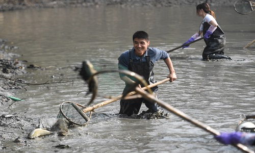 Experience Hangzhou: A Day Tour of Local Fisherman Life at Xixi Wetland Park