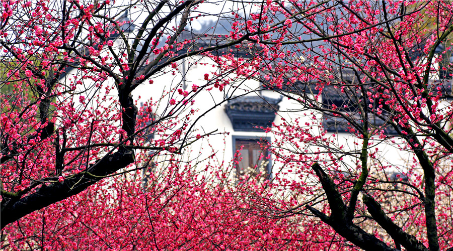 Chaoshan_Scenic_Area_3.jpg