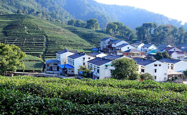 Meijiawu_tea_culture_village.jpg