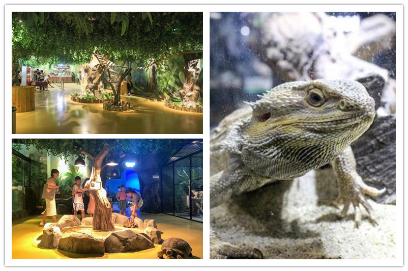 Hangzhou_zoo_indoor.jpg