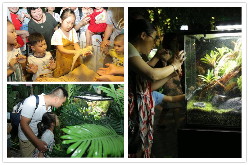 Hangzhou_zoo_indoor_02.jpg