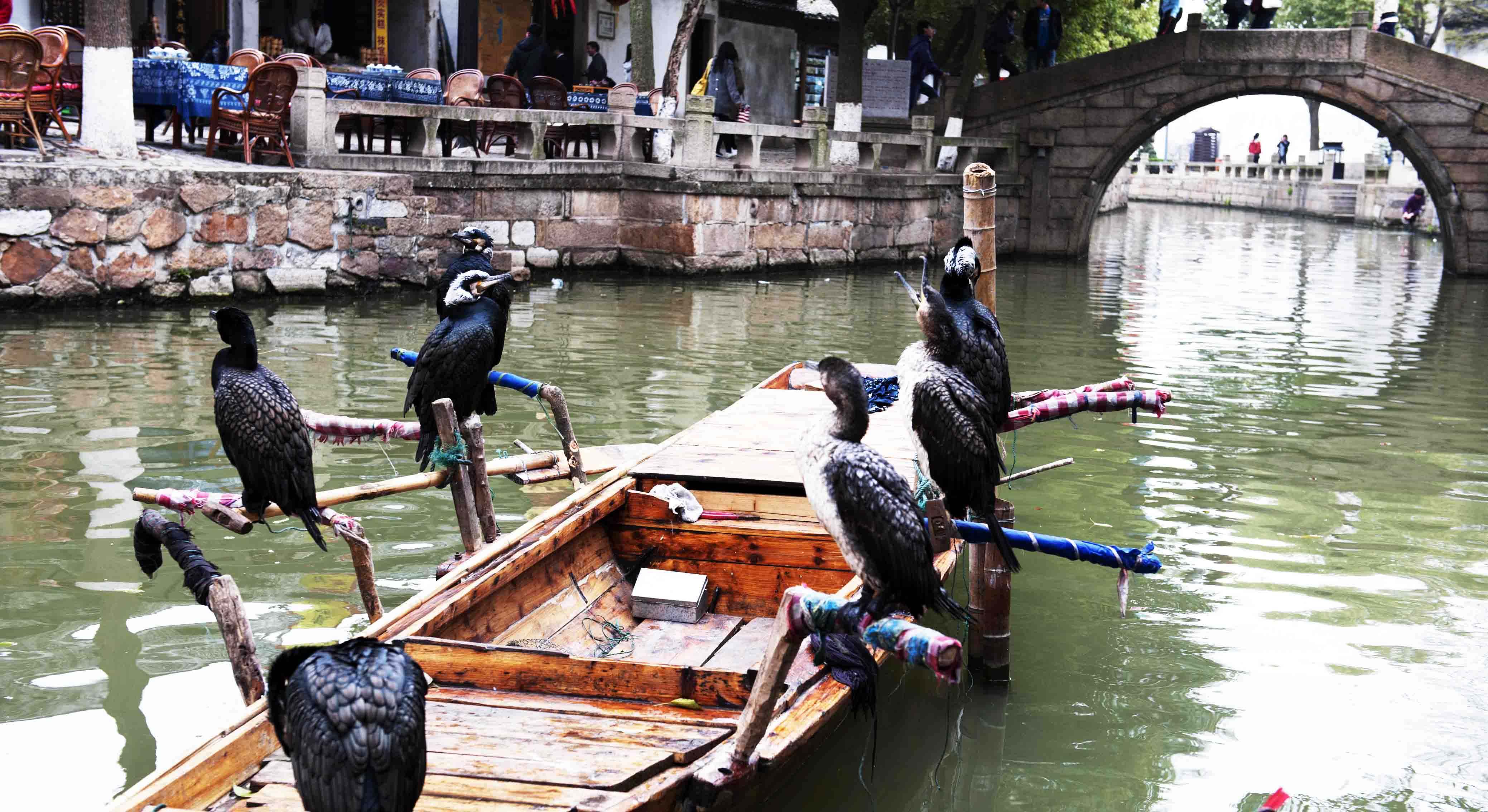 Tongli-Water-Town