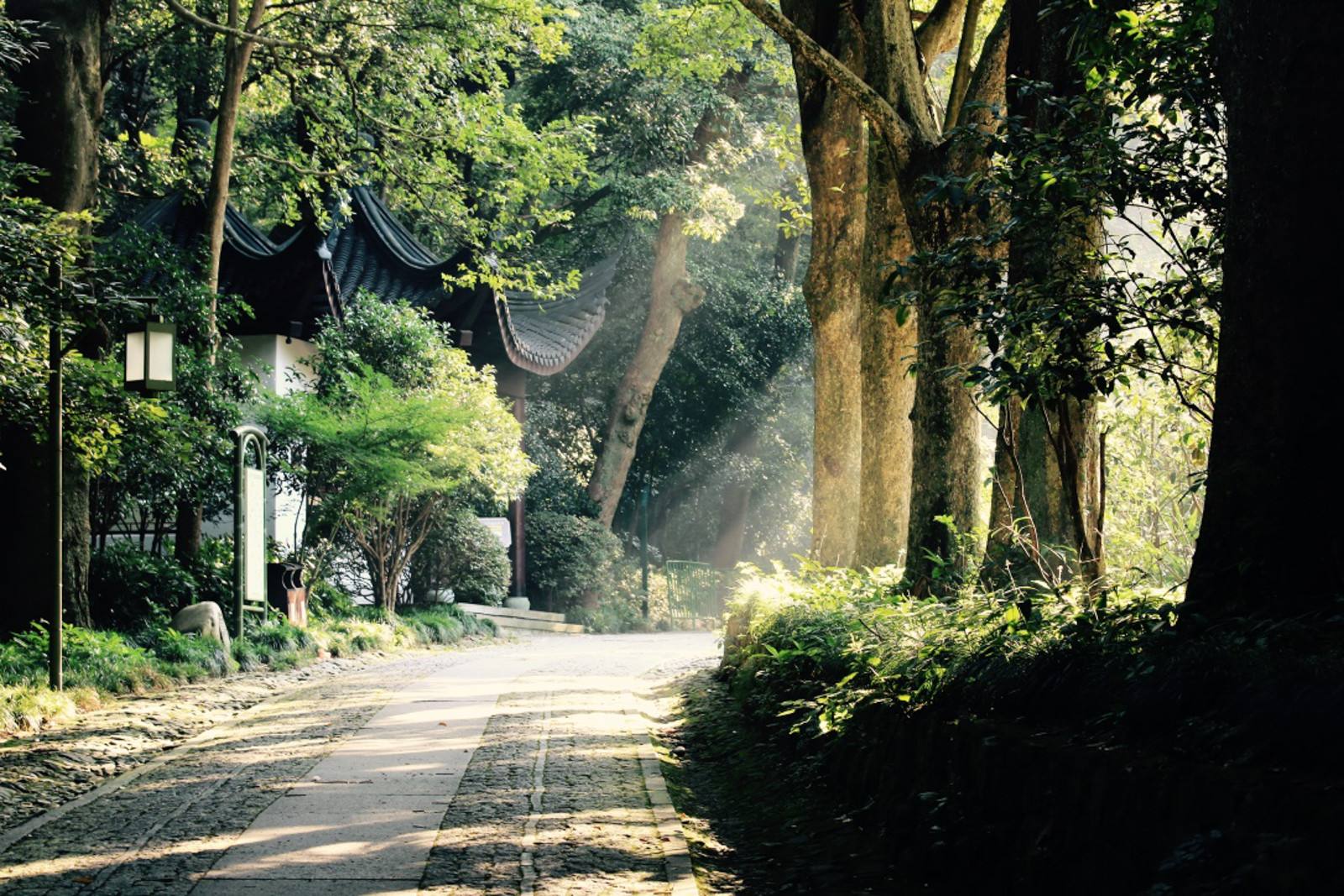 Bamboo_Path_At_Yunqi.jpg