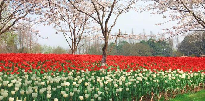 west_lake_hangzhou_tour_04.jpg