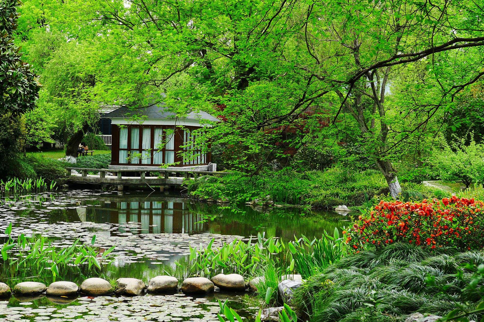 Hangzhou_Flower_Nursery.jpg