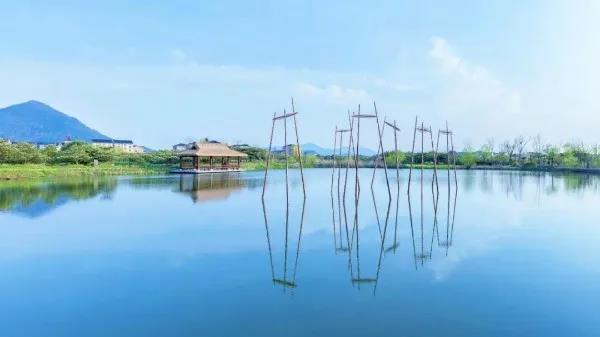 Dingshan Lake Wetland.jpg