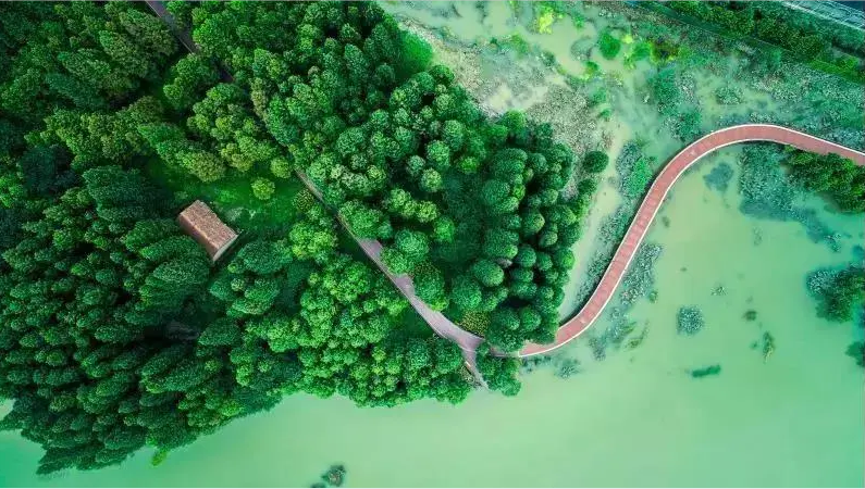 Qingshan_Lake_Greenway.png