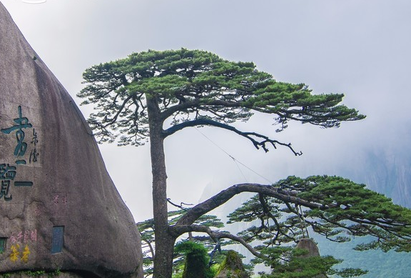 Mount Huangshan_03.png