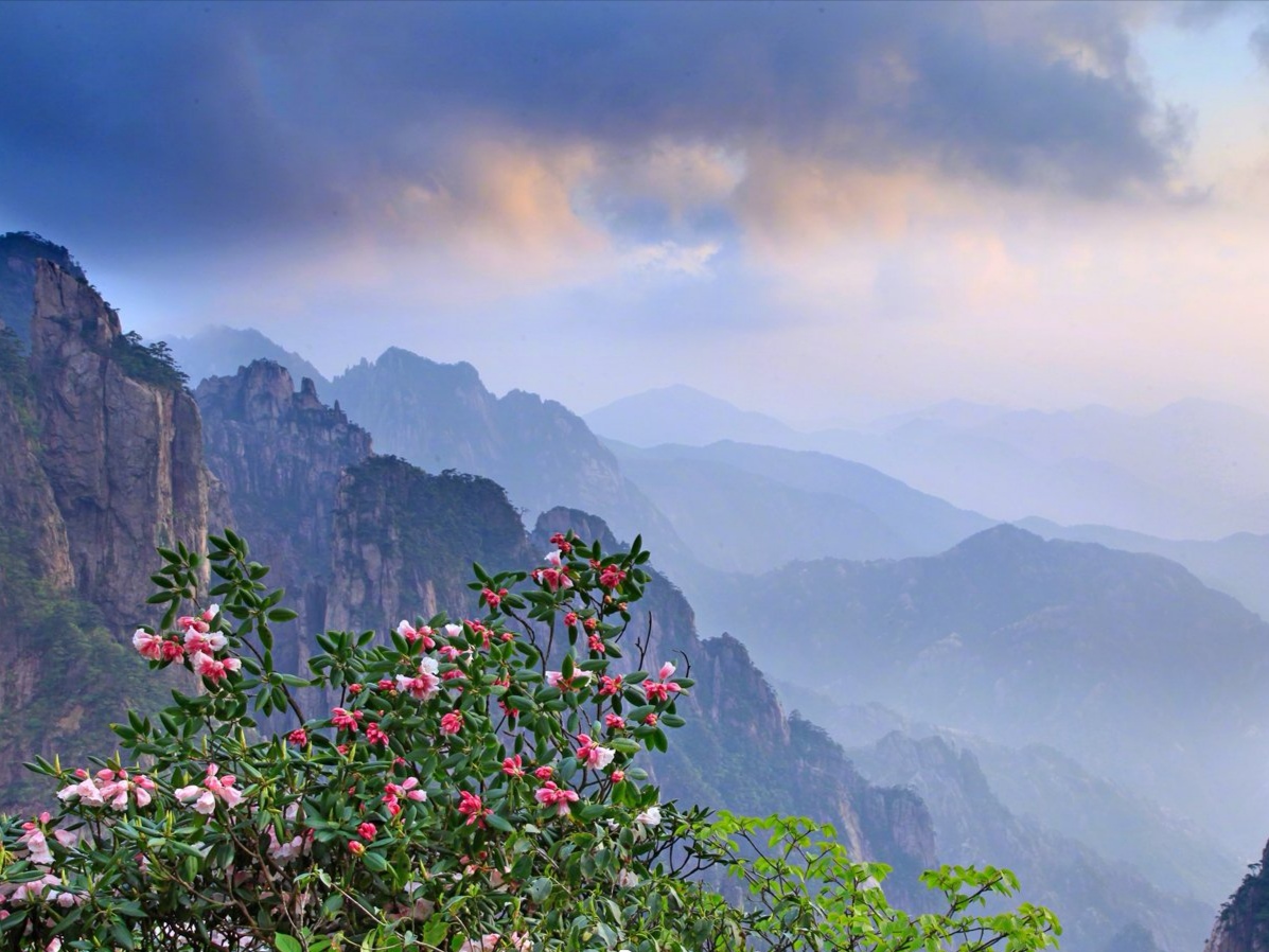 Mount Huangshan_07.jpg