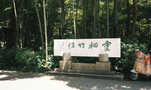 Bamboo-Lined-Path-at-Yunqi-Hangzhou