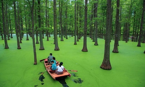 Hangzhou-Qingshan-Lake-National-Forest-Park-Boat-Hangzhou