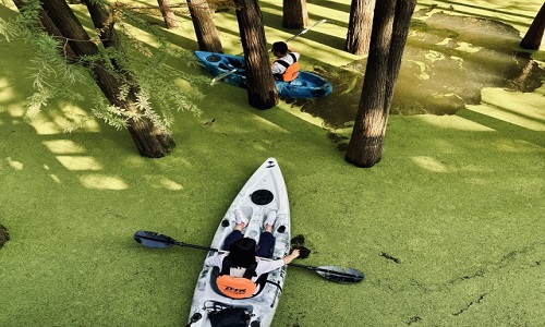 Hangzhou-Qingshan-Lake-National-Forest-Park-Boat