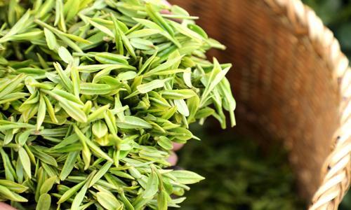 Longjing-Imperial-Tea-Garden-Hangzhou