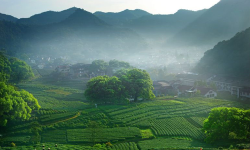 Meijiawu-Tea-Village-Hangzhou