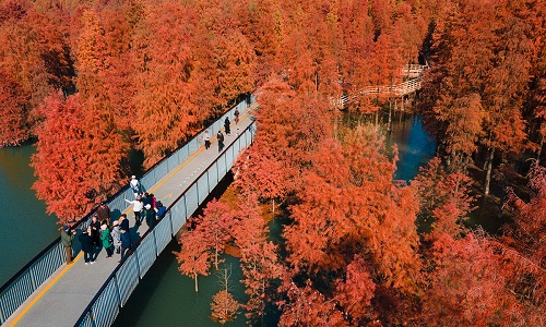 Qingshan-Lake-National-Forest-Park-Hangzhou