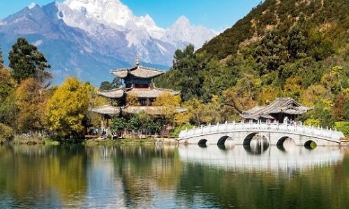 Black-Dragon-Pond-Park
