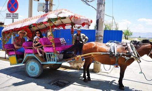 Erhai-Lake-Horse-Cart-Ride-in-Dali