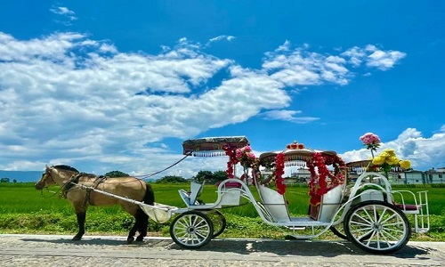 Erhai-Lake-Horse-Cart-Ride-in-Dali-Yunnan