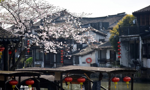 Flower-Alley