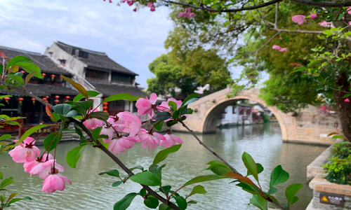Flower-Alley-Xitang