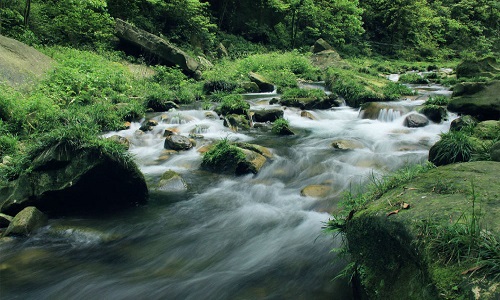 Golden-Whip-Stream-Zhangjiajie