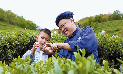 Vegetable-Picking-in-a-Farm-Garden2