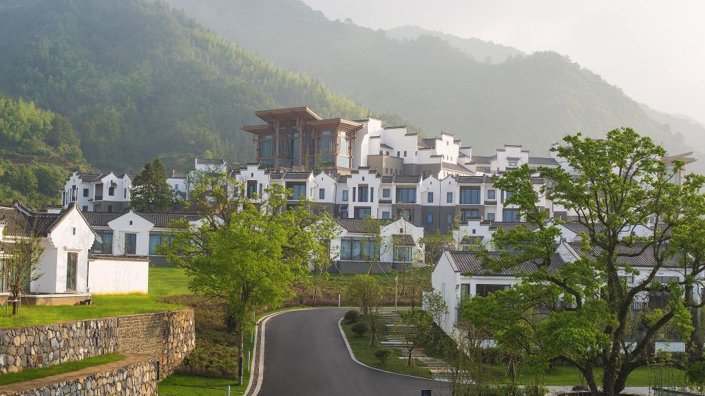 Banyan-Tree-Huangshan6