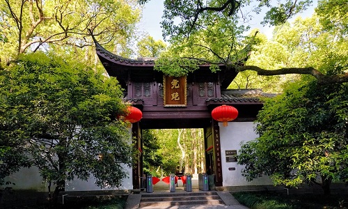 Dream-of-the-Tiger-Spring2