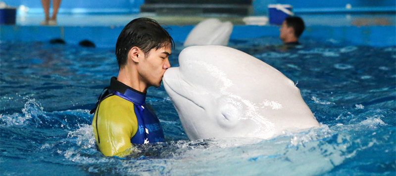 Hangzhou-Changqiao-Polar-Ocean-Park2