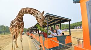 Hangzhou-Wildlife-Park