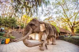 Hangzhou-Wildlife-Park2