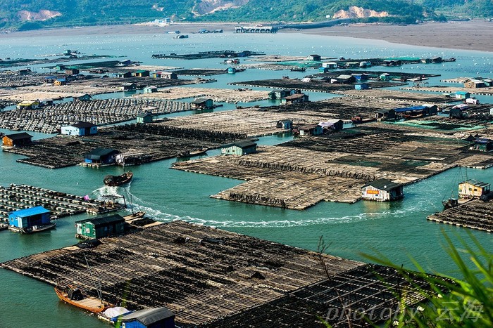 Dong-an-Fishing-Rafts