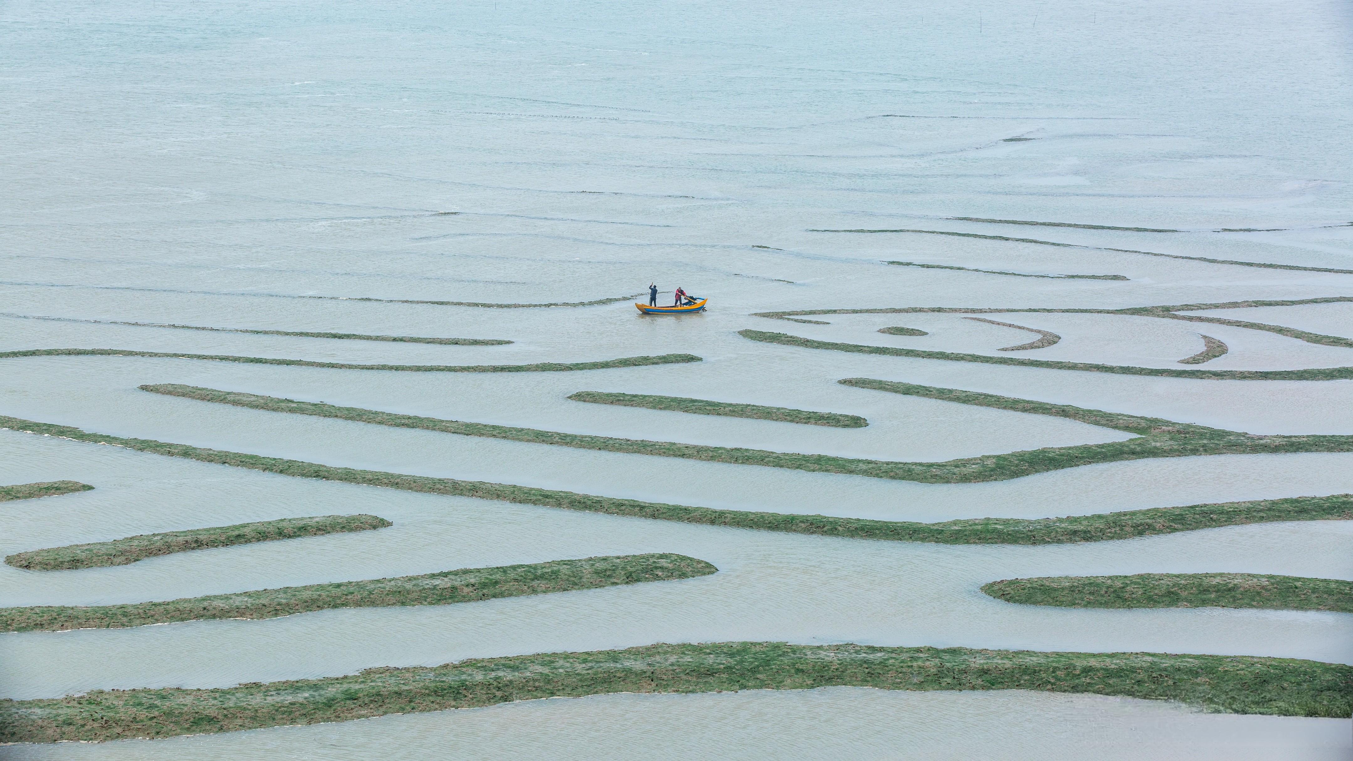 Nanwan-Oracle-Script4