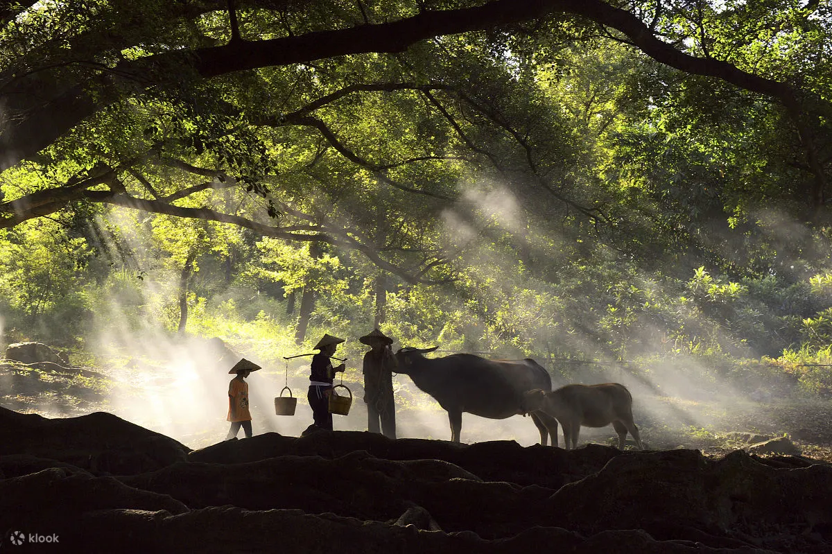 Yangjiaxi-Banyan-and-Maple-Park2
