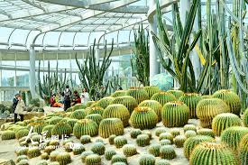 Botanical-Garden2 Botanical-Garden2