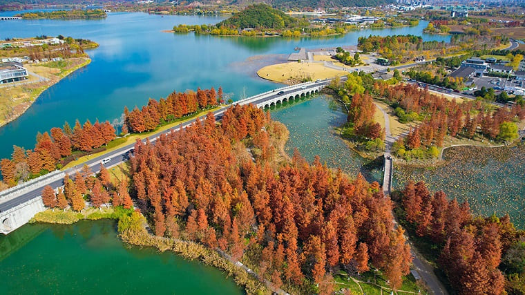 Xianghu-Lake-Wetland-Park