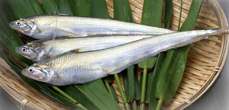 Steamed-White-Knife-Fish3